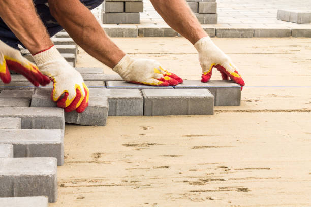 Best Decorative Driveway Pavers  in Lewiston, MN