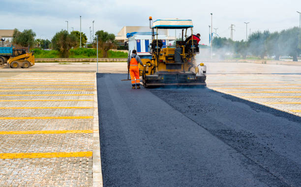 Best Driveway Pavers Near Me  in Lewiston, MN